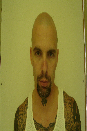 Front Profile